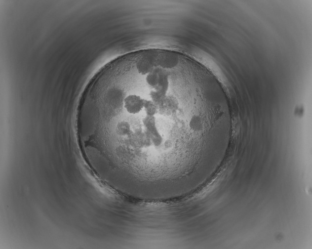 X0000097511043200802221502