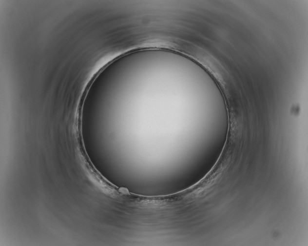 X0000097511044200802221502