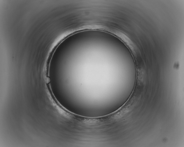 X0000097511046200802221502