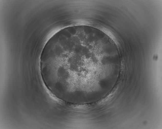 X0000097511047200802221502