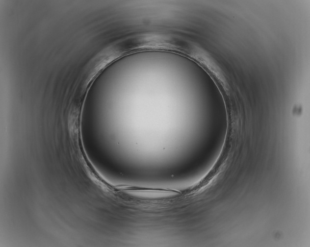 X0000097511049200802221502