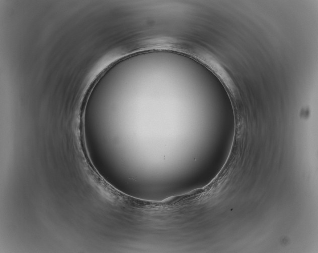 X0000097511051200802221502