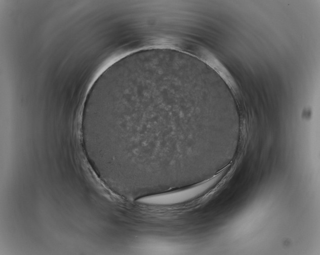 X0000097511052200802221502