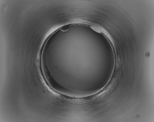 X0000097511053200802221502