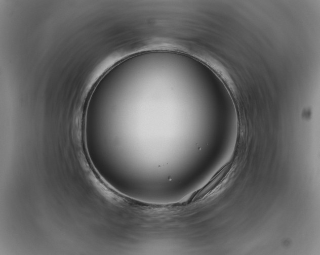 X0000097511054200802221502
