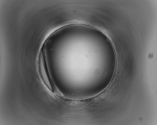 X0000097511056200802221502