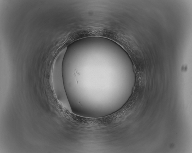 X0000097511057200802221502