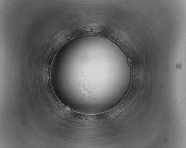 X0000097511058200802221502