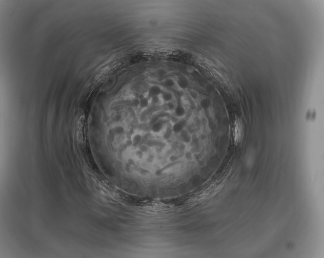 X0000097511059200802221502