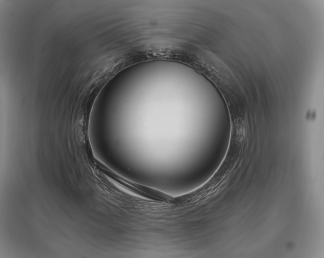X0000097511060200802221502