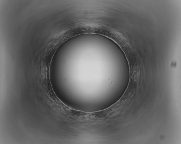X0000097511061200802221502