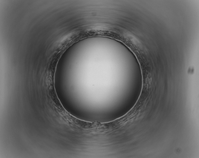 X0000097511062200802221502