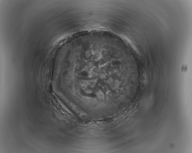 X0000097511063200802221502