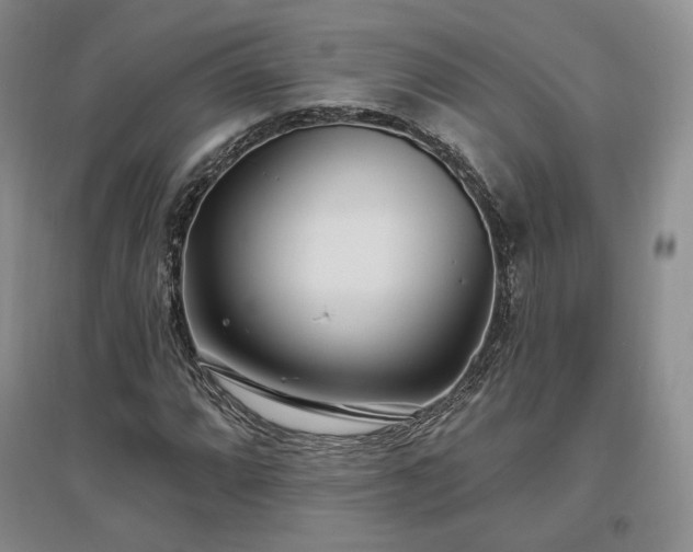 X0000097511064200802221502
