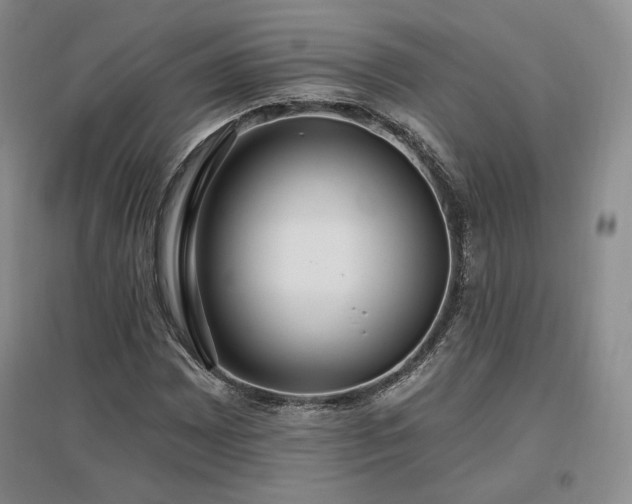 X0000097511065200802221502
