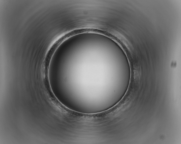 X0000097511069200802221501