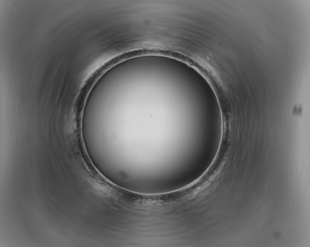 X0000097511070200802221501