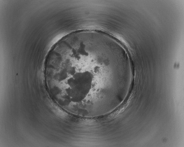 X0000097511071200802221501