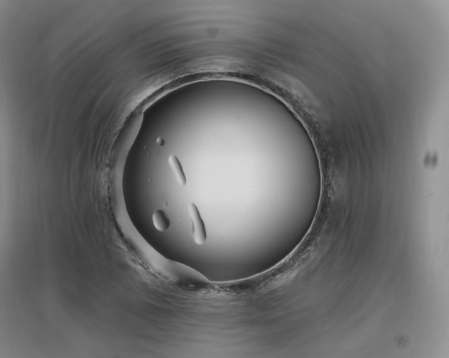 X0000097511073200802221501