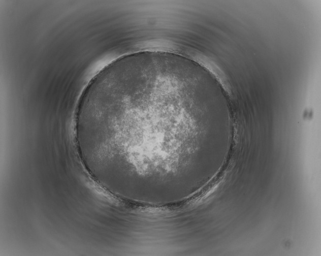 X0000097511074200802221501