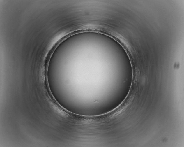 X0000097511075200802221501
