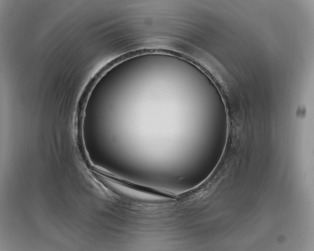 X0000097511076200802221501