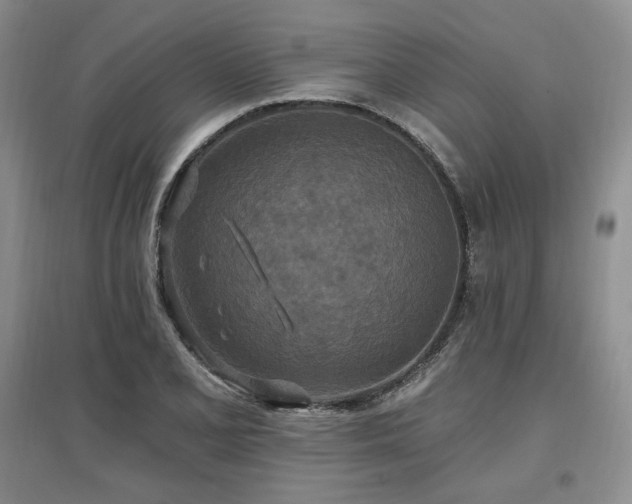 X0000097511077200802221501