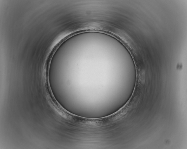 X0000097511078200802221501