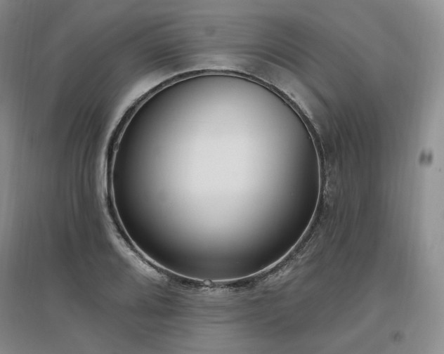 X0000097511080200802221501