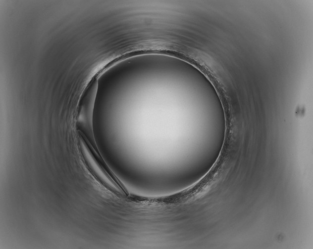 X0000097511081200802221501