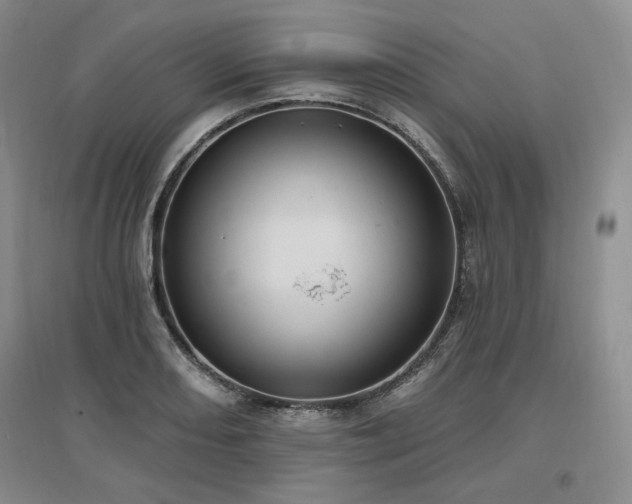 X0000097511082200802221501