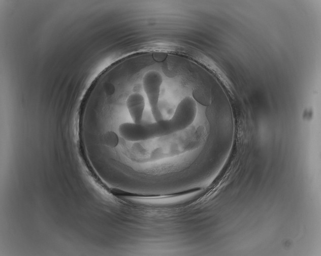 X0000097511083200802221501