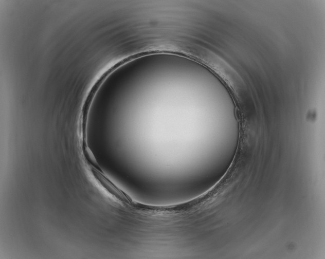 X0000097511084200802221501