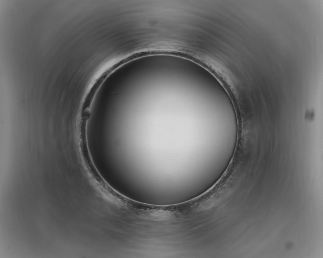 X0000097511085200802221501