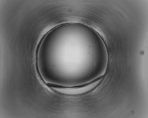 X0000097511088200802221501