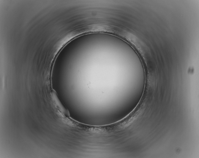 X0000097511089200802221501