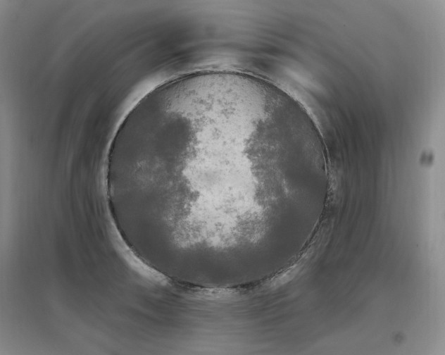 X0000097511090200802221501