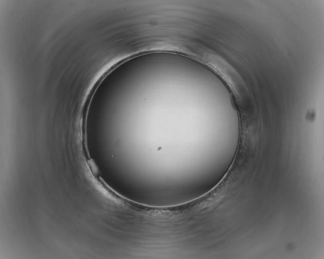 X0000097511092200802221501