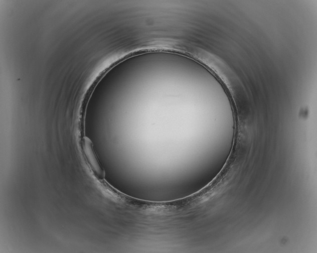 X0000097511093200802221501