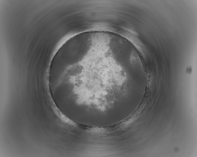 X0000097511094200802221501