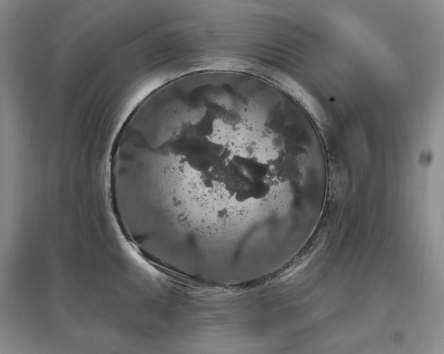 X0000097511095200802221501