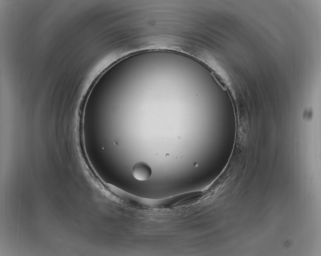 X0000097511096200802221501