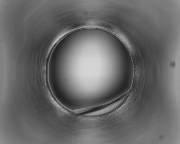 X0000097511100200802221501