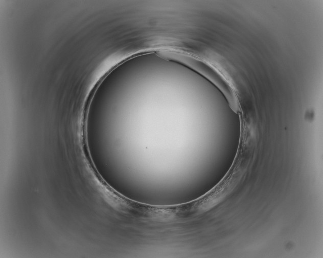 X0000097511101200802221501