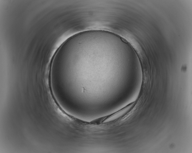 X0000097511102200802221501