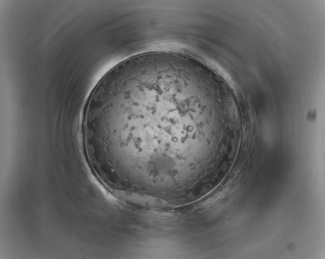 X0000097511103200802221501