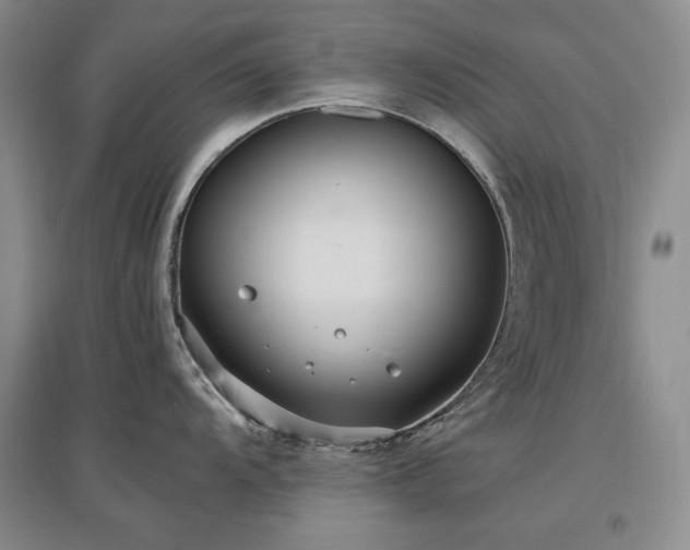 X0000097511104200802221501