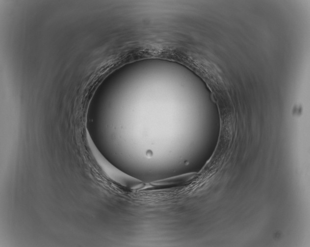 X0000097511105200802221500
