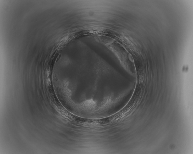 X0000097511106200802221500