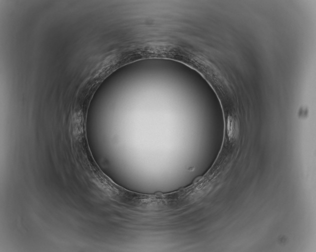 X0000097511107200802221500